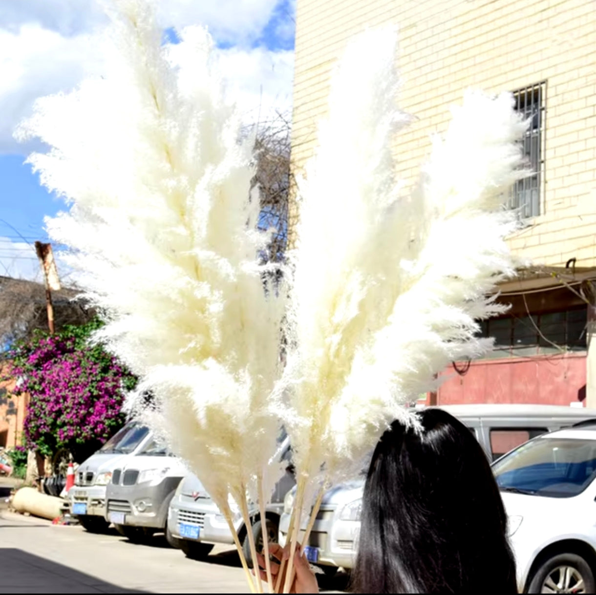 Luxury Boho Pampas Grass – 80cm Natural Fluffy Dried Plumes for Wedding & Home Décor