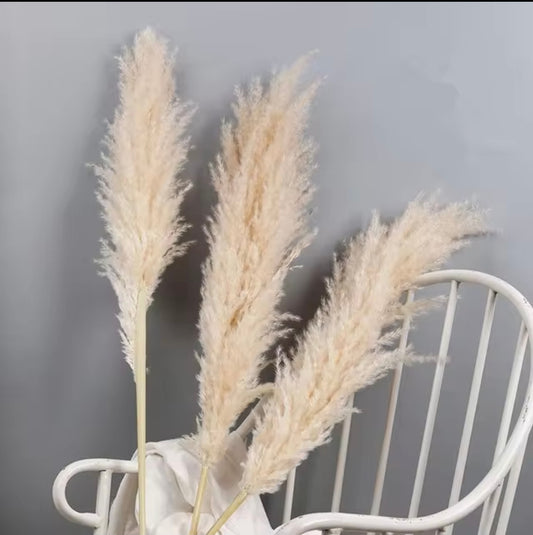 Luxury Boho Pampas Grass – 80cm Natural Fluffy Dried Plumes for Wedding & Home Décor