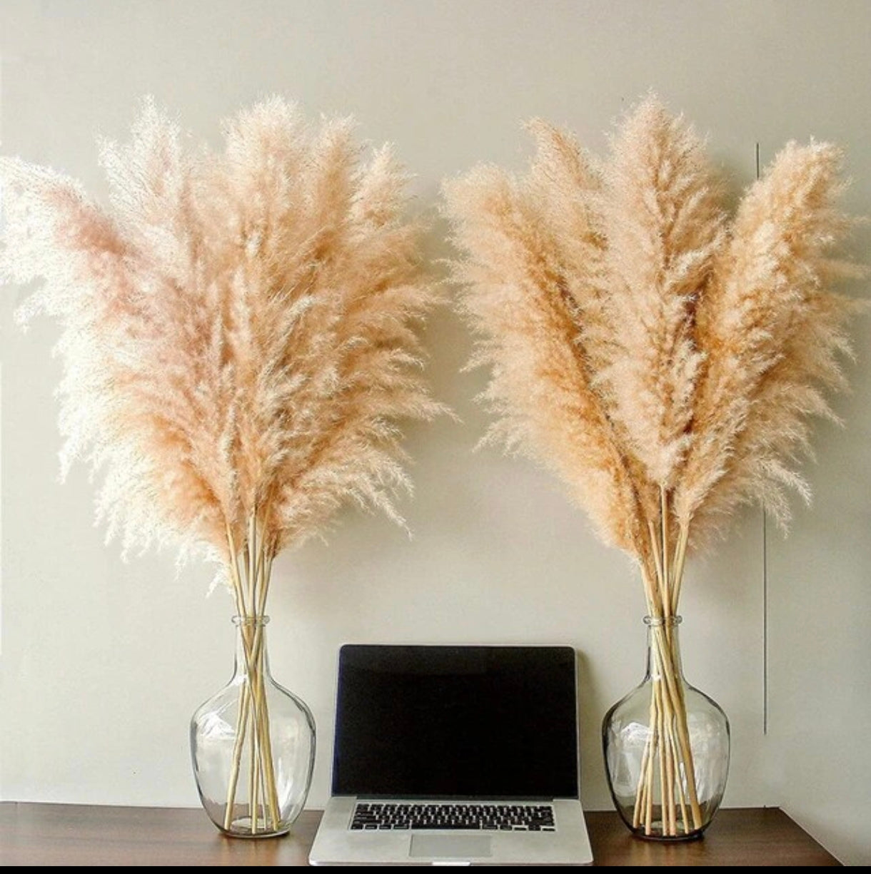 Luxury Boho Pampas Grass – 80cm Natural Fluffy Dried Plumes for Wedding & Home Décor